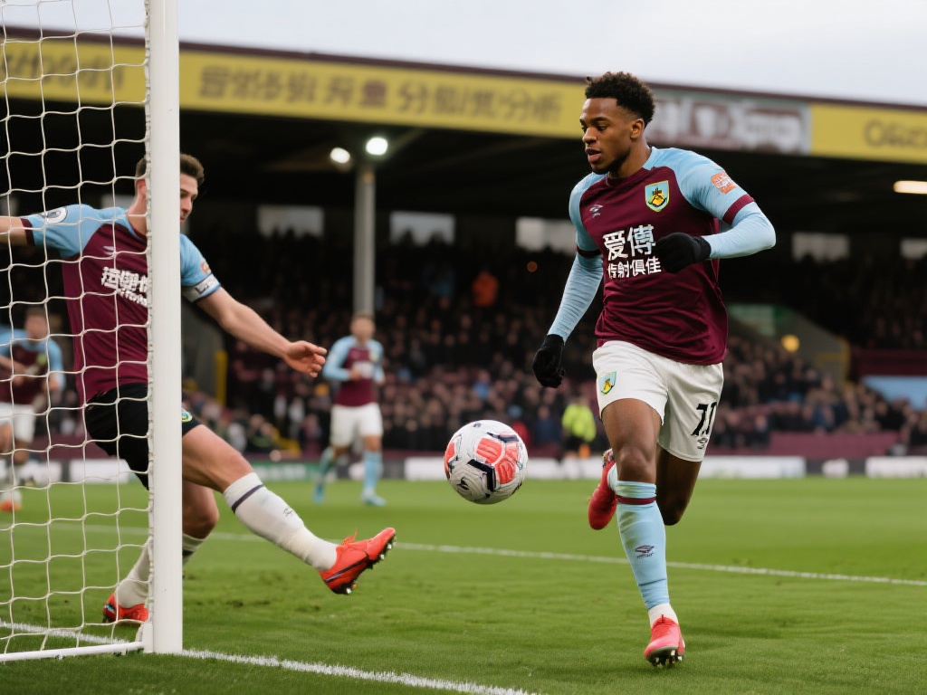 年成为世界 年成为世界